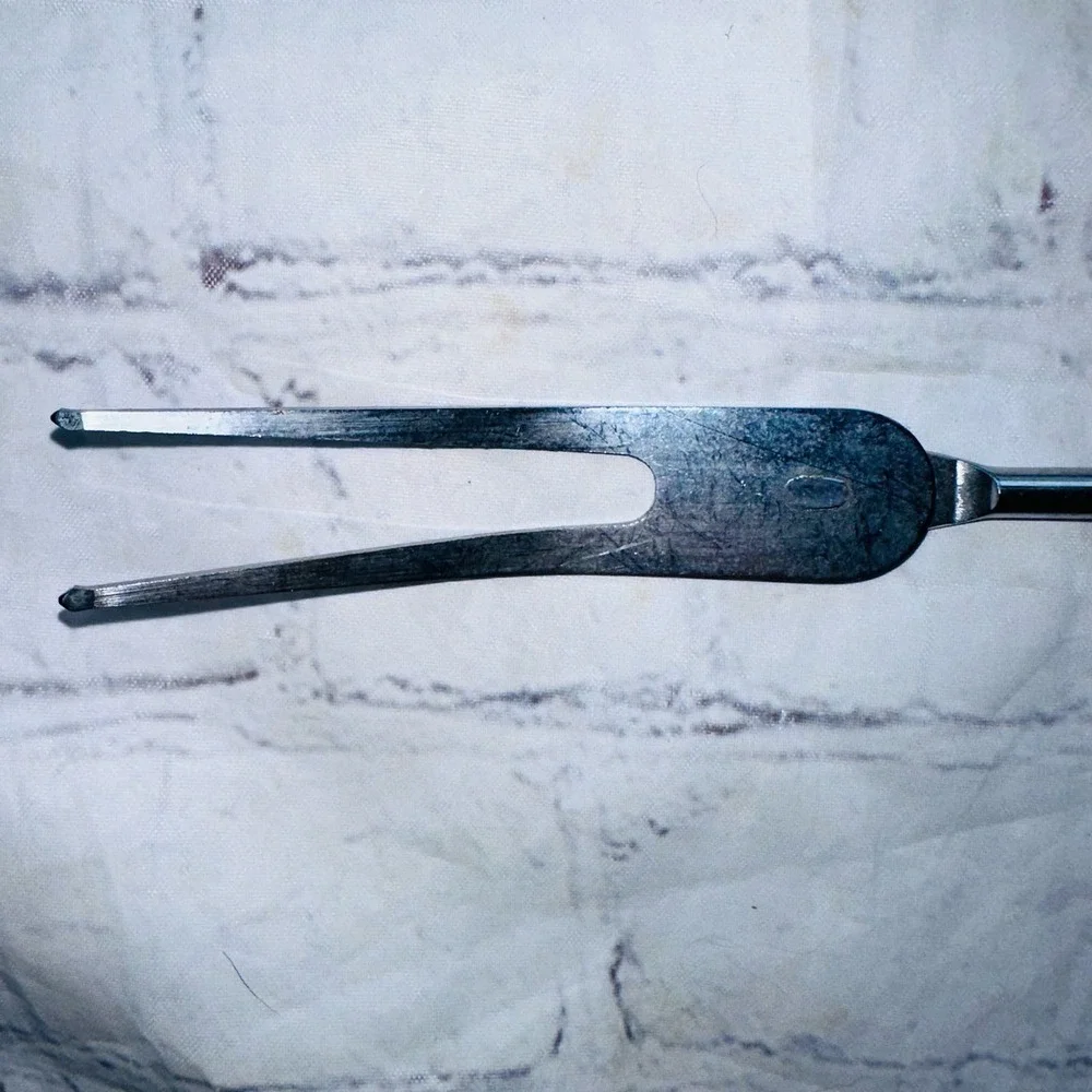 Vintage 2 Prong Serving Meat Turning Fork 12